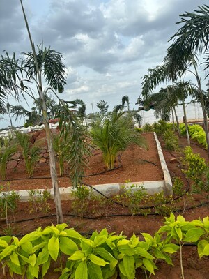  Plot – Garden View at Kankipadu - for Sale