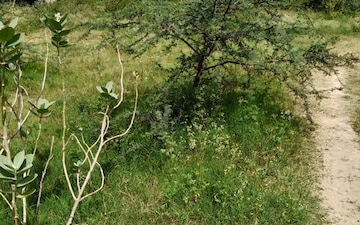 Plot For Sale in Tejaswini Nagar