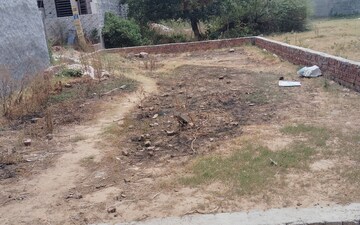 Plot For Sale in Sector 115