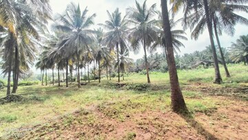  Land For Sale in Yadiyur