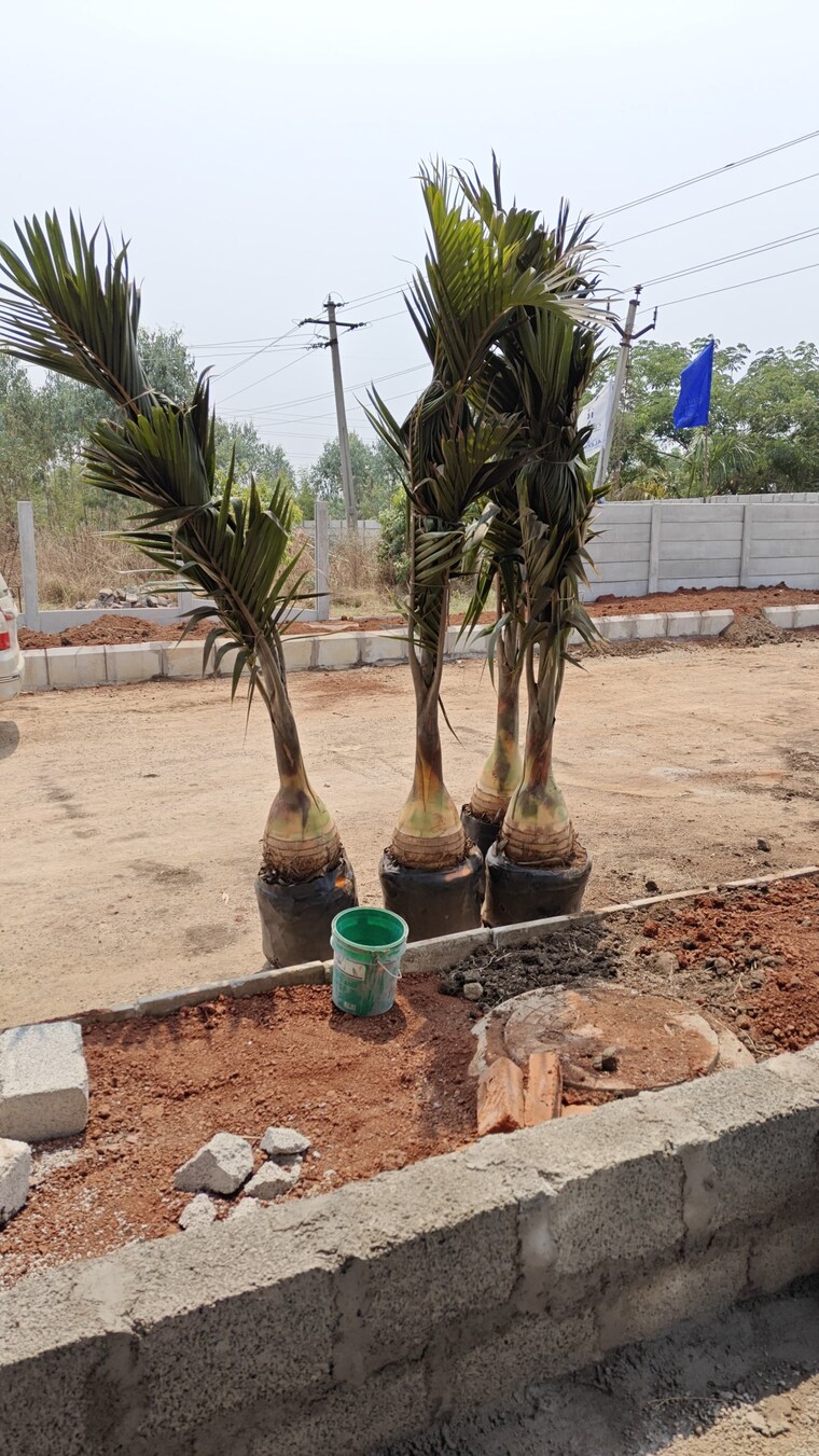 Garden, fortune-sunrise  165 Sq.Yd. Plot In Kadthal Hyderabad 8795818