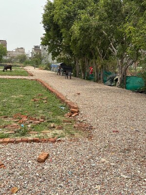 Plot Area in  Plot at Sector 123 – for Sale