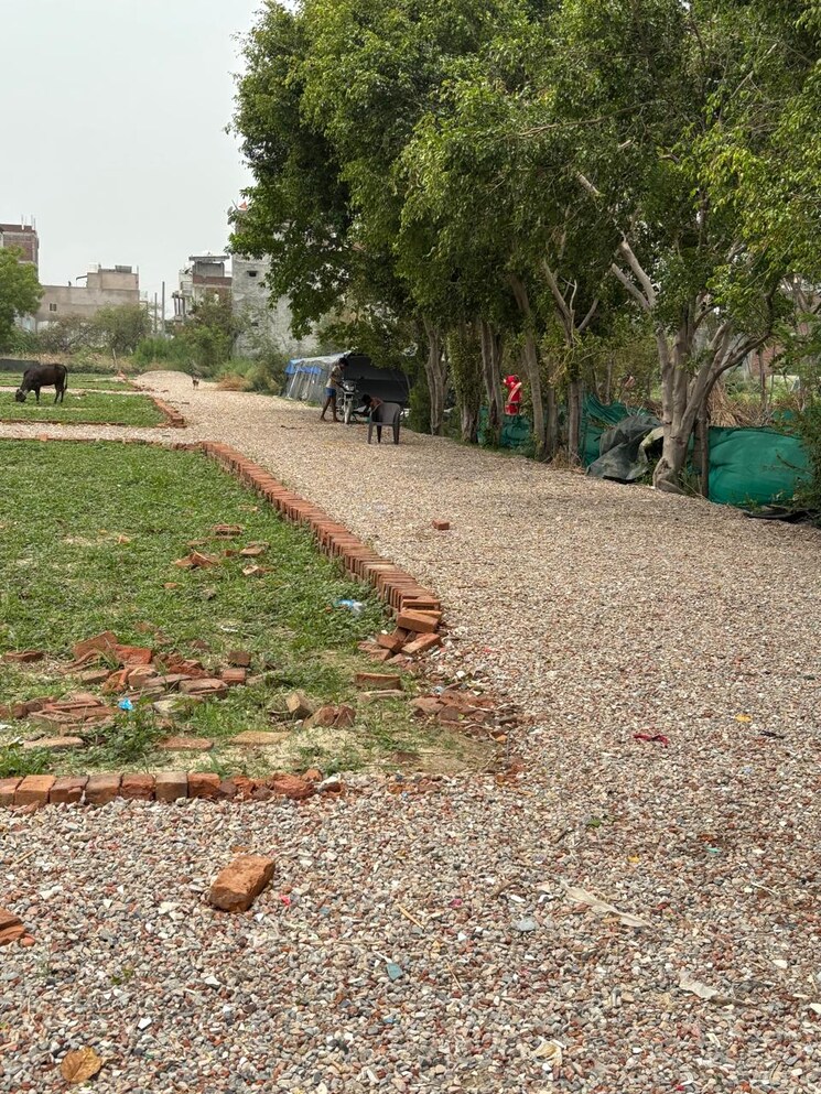 undefined, sector 123  150 Sq.Yd. Plot In Sector 123 Noida 8796145