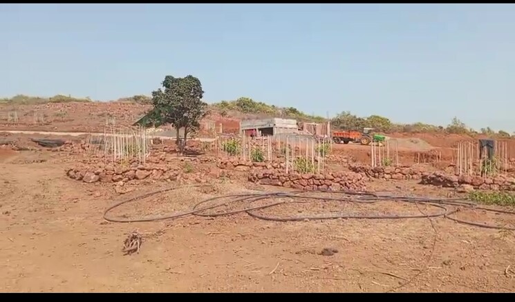 undefined, malvan  1100 Sq.Mt. Plot In Malvan Sindhudurg 8795973