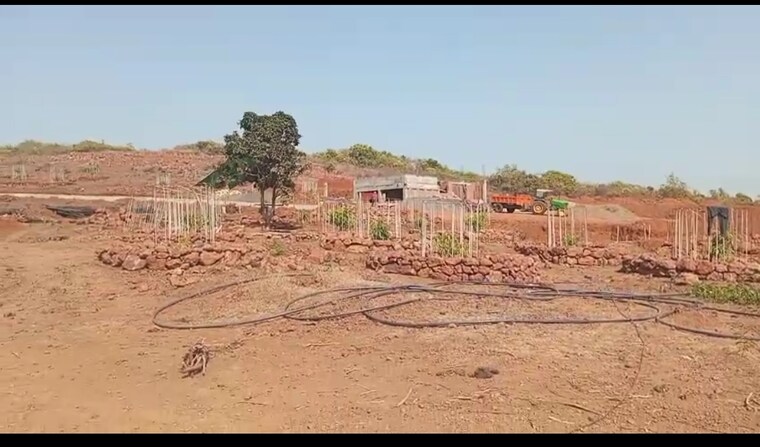 undefined, malvan  1100 Sq.Mt. Plot In Malvan Sindhudurg 8795973