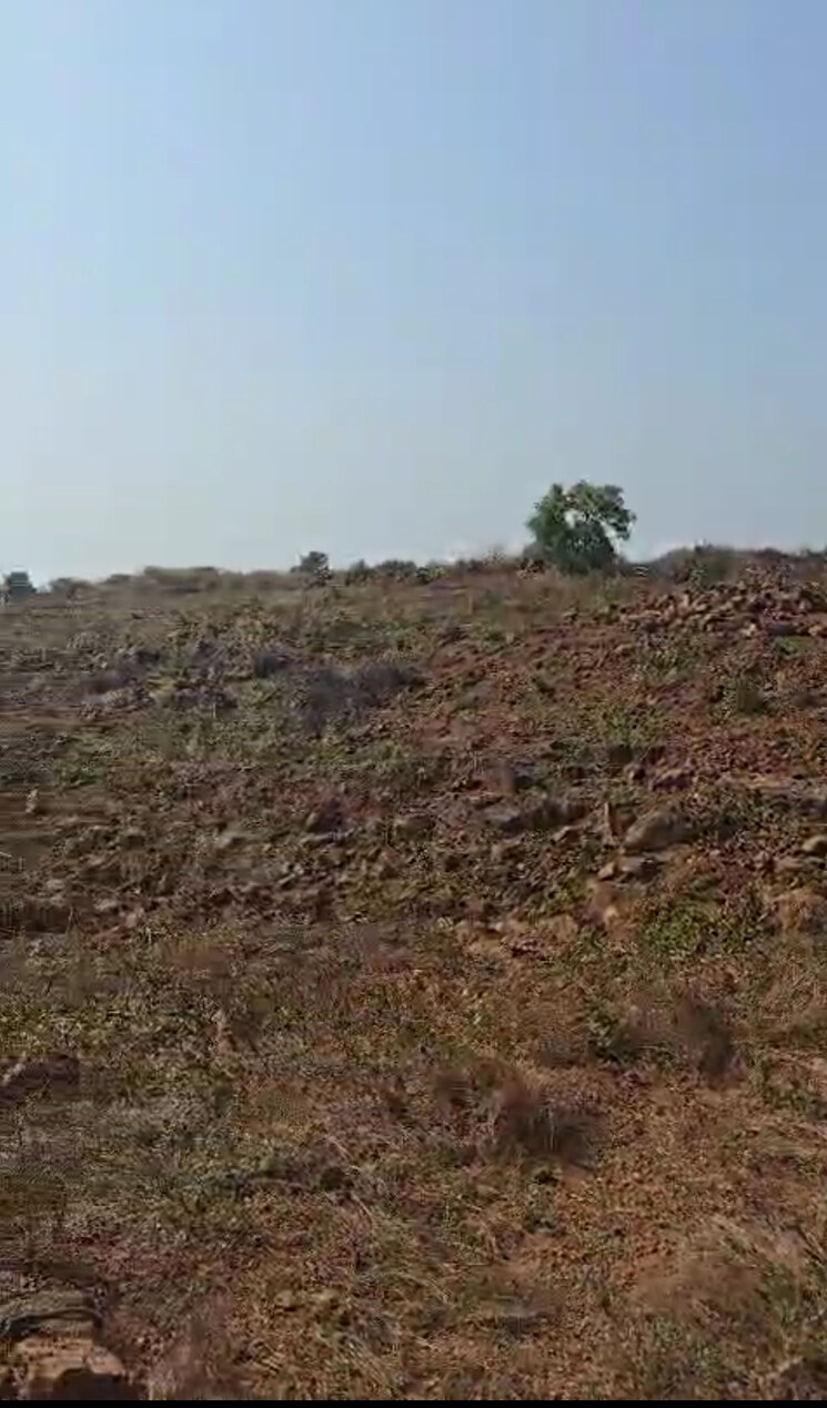 undefined, malvan  1100 Sq.Mt. Plot In Malvan Sindhudurg 8795973