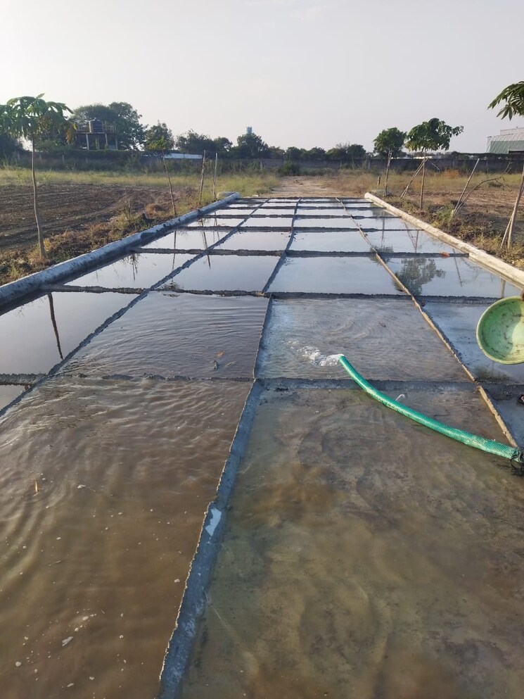 Exterior View, peram-adithya-magnum-opus  165 Sq.Yd. Plot In Rudraram Hyderabad 8795943