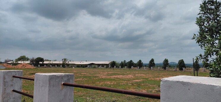 undefined, almasguda  156 Sq.Yd. Plot In Almasguda Hyderabad 8795962