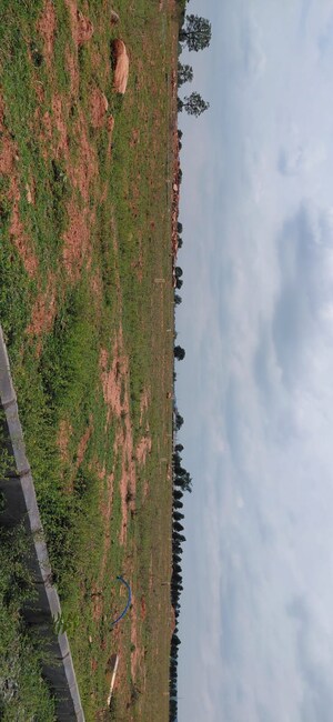  Plot – Garden View at Nadergul - for Sale