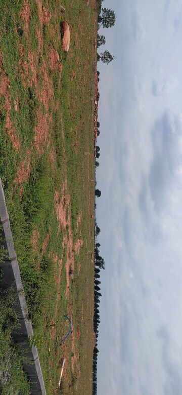  Plot – Garden View at Nadergul - for Sale
