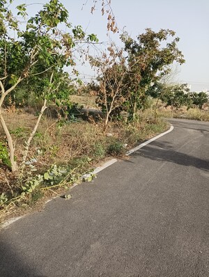 Plot Area in  Plot at JDA Nilay Kunj, Siroli – for Sale