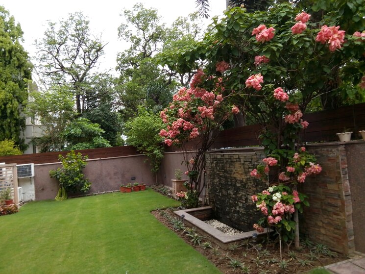 Garden, jor bagh 4 Bedroom 575 Sq.Yd. Builder Floor In Jor Bagh Delhi 8796014