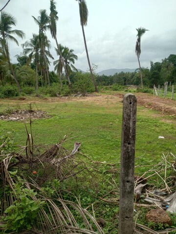 Plot Area in  Plot at Kodibag – for Sale