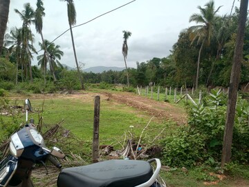Plot Area in  Plot at Kodibag – for Sale
