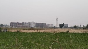  Plot – Exterior View View at Deva Road - for Sale