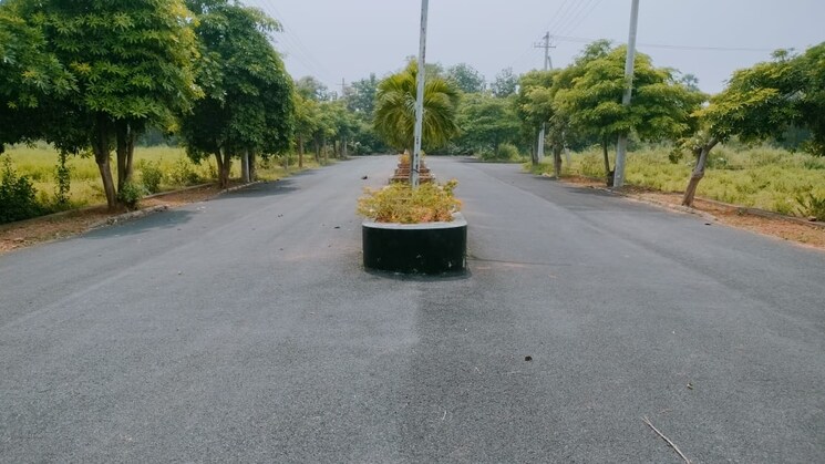 Exterior View, bhogapuram  267 Sq.Yd. Plot In Bhogapuram Vizag 8796292