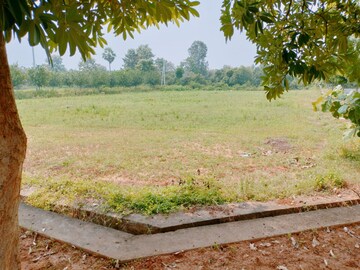Plot Area in  Plot at Bhogapuram – for Sale