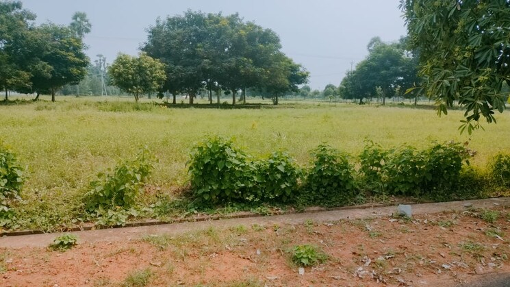 undefined, bhogapuram  267 Sq.Yd. Plot In Bhogapuram Vizag 8796292