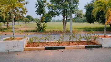   Plot at Bhogapuram – for Sale