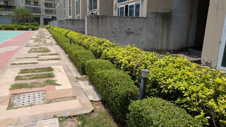 Garden, mahagun-meadows-villas 5 Bedroom 4900 Sq.Ft. Villa In Sector 150 Noida 8796430