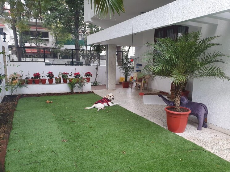 Garden, gulmohar park 3 Bedroom 400 Sq.Yd. Builder Floor In Gulmohar Park Delhi 8796525