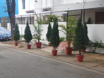 3 BHK Builder Floor – Exterior View View at Gulmohar Park - for Rent
