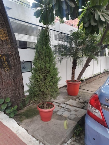3 BHK Builder Floor – Exterior View View at Gulmohar Park - for Rent