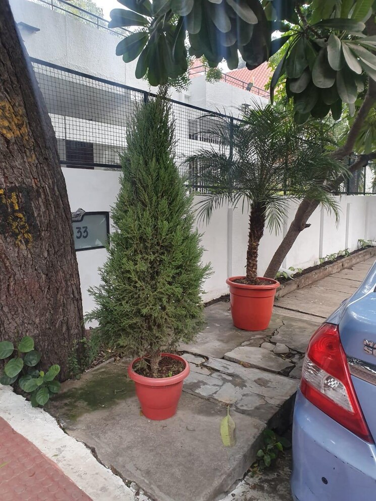 Exterior View, gulmohar park 3 Bedroom 400 Sq.Yd. Builder Floor In Gulmohar Park Delhi 8796525