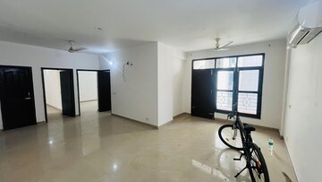 3 BHK Apartment For Rent in Maya Garden City, Lohgarh