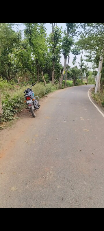  Plot – Exterior View View at Bihta - for Sale