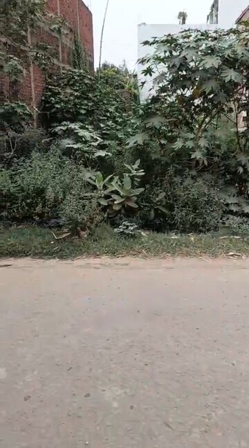  Plot For Sale in Tikhampur