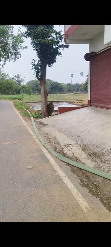  Plot – Exterior View View at Bihta - for Sale