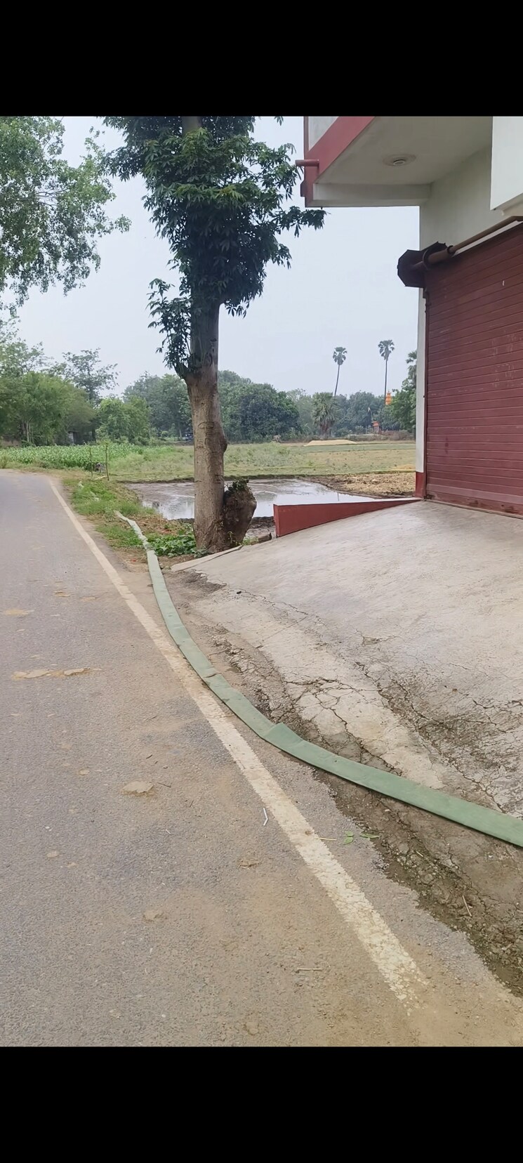 Exterior View, bihta  1361 Sq.Ft. Plot In Bihta Patna 8796580