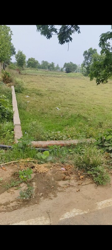 Plot Area in  Plot at Bihta – for Sale