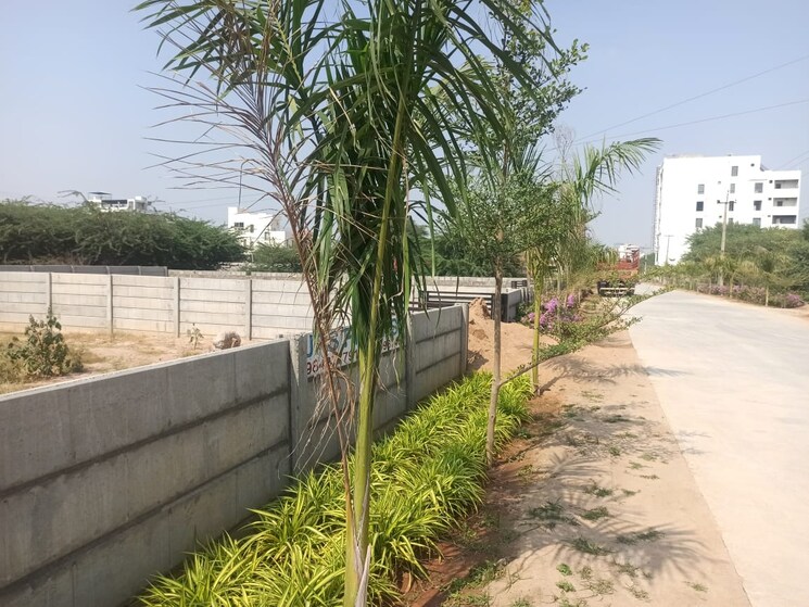 Exterior View, aduri-dream-valley  200 Sq.Yd. Plot In Vittyal Hyderabad 8796706