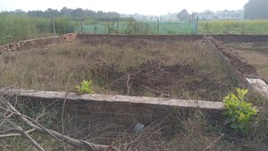  Plot For Sale in Maldepur