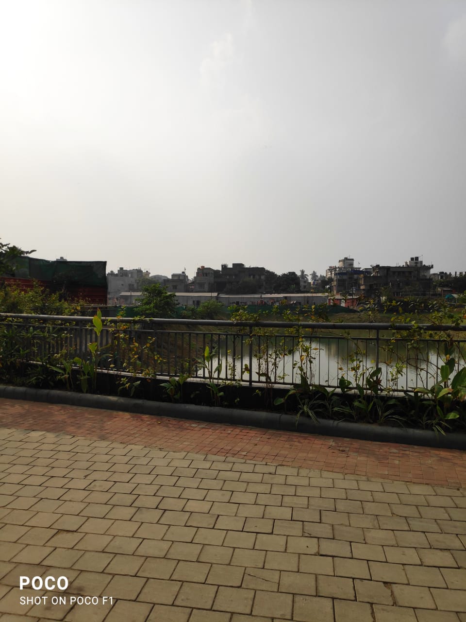 3 BHK + Study Room 2239 Sq.Ft. Villa in Srijan Botanica