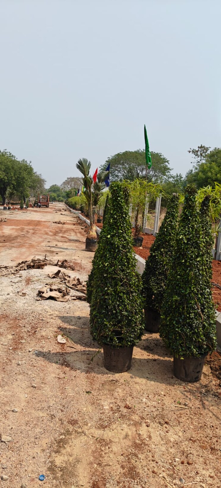 Garden, peram-mjs-prime  165 Sq.Yd. Plot In Mankhal Hyderabad 8797069