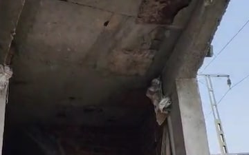 1 BHK Independent House For Sale in Rajendra Park