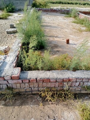  Plot For Sale in Sainik Farm