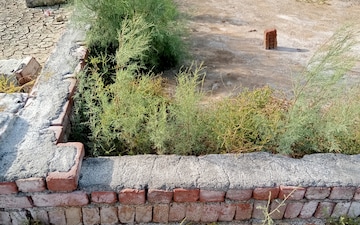 Plot For Sale in Sainik Farm