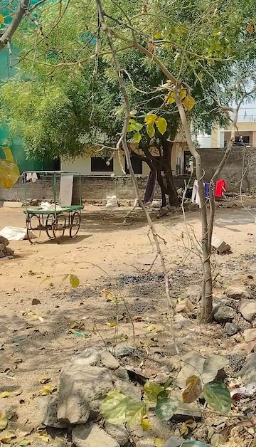  Plot For Sale in Hanuman Nagar Colony