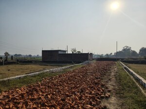 Plot Area in  Plot at Safedabad – for Sale