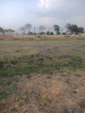  Plot For Sale in Omaxe City - Omaxe Heights, Sector 97