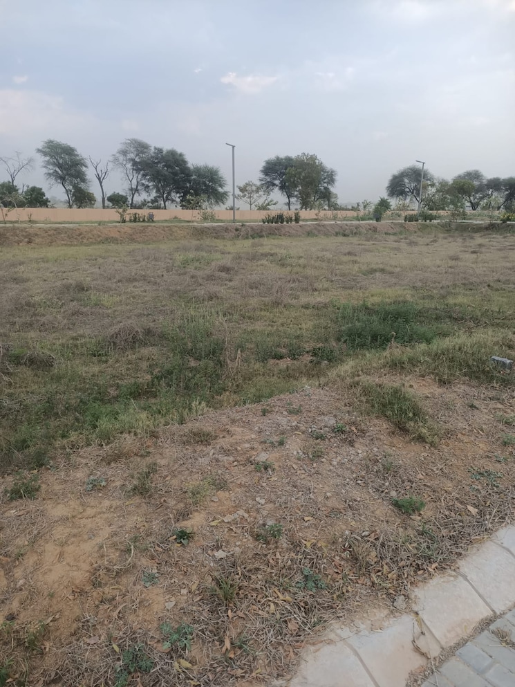 undefined, amolik-aster-woods  120 Sq.Yd. Plot In Sector 98 Faridabad 8798027