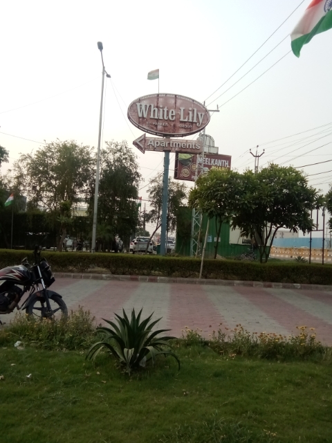4 BHK Apartment For Sale in Parker White Lily
