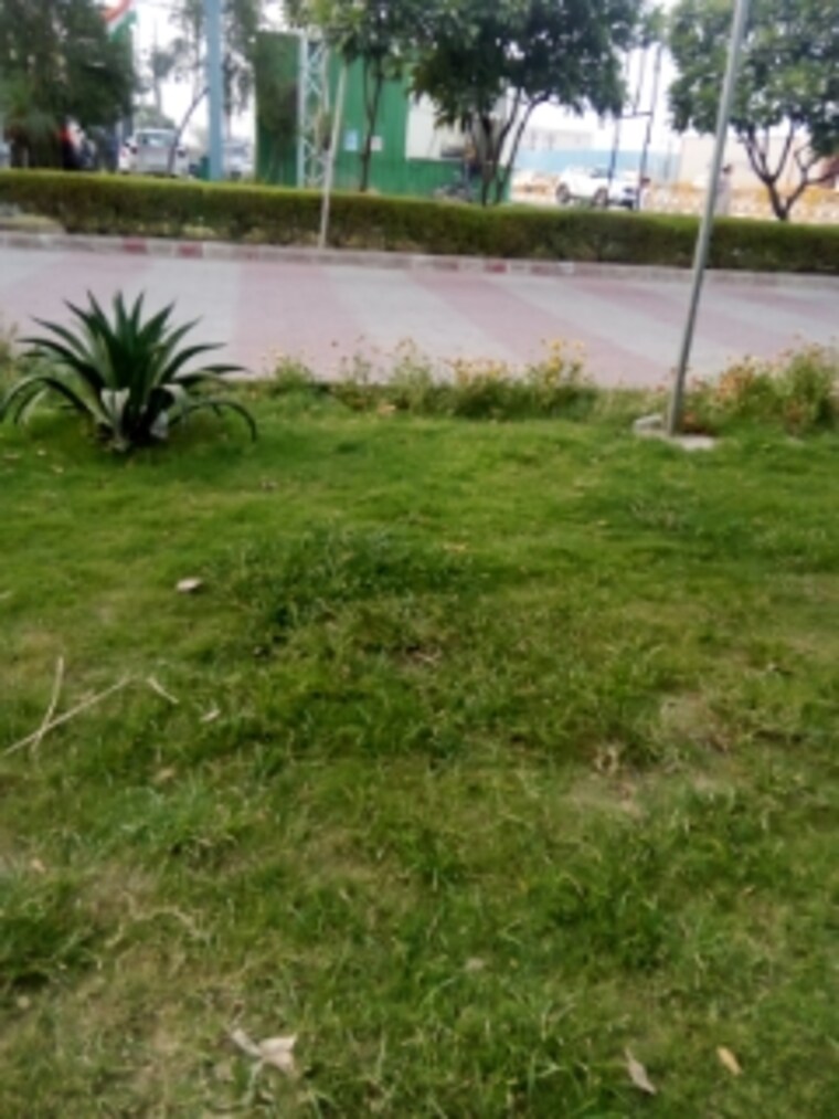 Garden, parker-white-lily 4 Bedroom 2290 Sq.Ft. Apartment In Sector 8 Sonipat 8798719