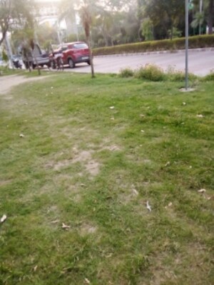 4 BHK Apartment – Garden View at Parker White Lily, Sector 8 - for Sale