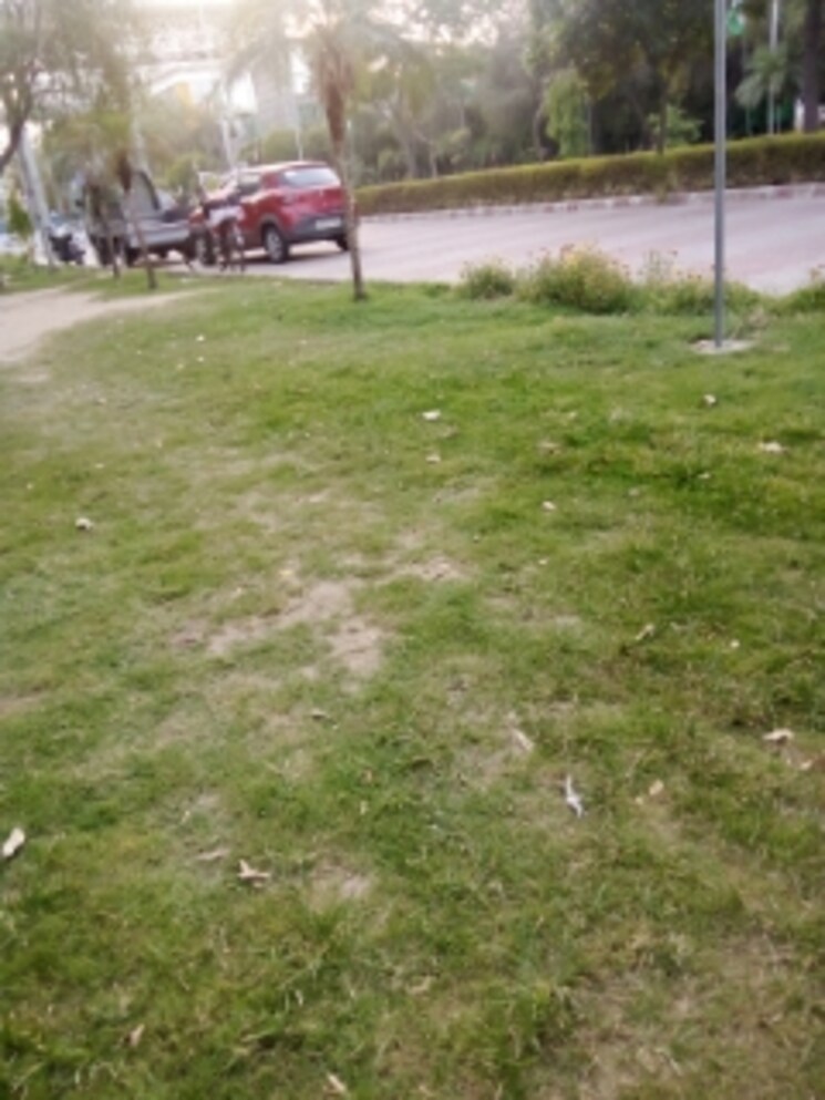 Garden, parker-white-lily 4 Bedroom 2290 Sq.Ft. Apartment In Sector 8 Sonipat 8798719