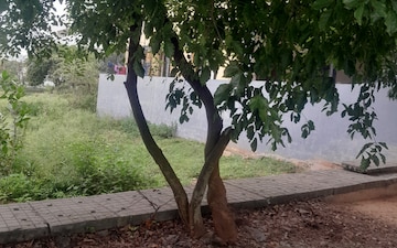Plot For Sale in Smv Layout